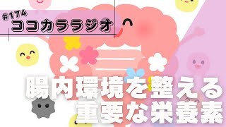 【#174】腸内環境を整える重要な栄養素【栄養学/オーソモレキュラー/健康/漢方/SNiPs】