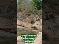 राजपुरी जलप्रपात बगीचा जशपुर छत्तीसगढ़ rajpuri watarfoll bagicha jashpur chhattisgarh