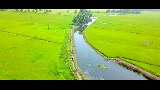 Discover the gorgeous backwaters of Kumarakom by cycling