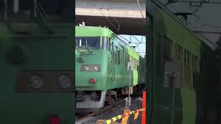 JR草津線 117系普通電車 虫生野踏切