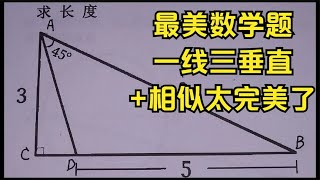 这道题被称作最美数学题，一线三垂直和相似三角形构建的太完美了