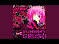♛ #cherryCrush ✮°｡⋆
