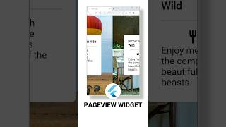 PageView widget - Flutter quick tutorial.