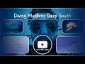 Diving Deep South Maldives with Tiger and Thresher sharks [4K]