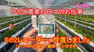 CO2レコーダー、設置しました（ハウス内の数値、観察していきます）　いちご農家の日々のお仕事　＃７４８