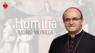 Homilía 1.11.2023/ Solemnidad de TODOS LOS SANTOS Mons. Munilla