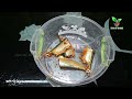 how to store fish in freezer മീൻ ഫ്രഷ് ആയി മാസങ്ങളോളം എങ്ങനെ സൂക്ഷിക്കാം