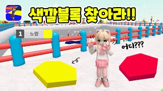 색깔블록을 찾아 달려요! 로블록스 Color Block