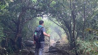 井欄樹 - 飛鵝山道 - 東洋山 （微雨大風睇芒草）- 萬里長城 （麥理浩徑4段）- 花心坑 （行山郊遊樂）