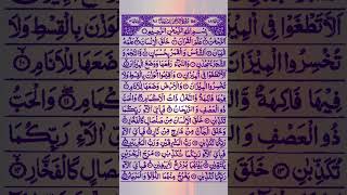 Surah Ar Rahman 🌷The Holy Quran 🌷Beautiful recitation 013