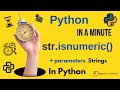 str.isnumeric() - Check if All Characters in Python Strings are Numeric