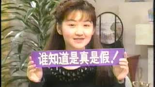 中国語会話　1993年  東京スケッチ28（东京屋檐下28）