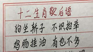 十二生肖歇后语： 狗坐轿子，不识抬举 #硬笔书法 #手写 #中国书法 #中国語 #毛笔字 #书法 #毛笔字練習 #老人言