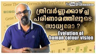 Evolution Of Human Colour Vision Malayalam | Lucy | Chandrasekhar. R  🦍🐒🧬