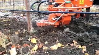 Rinieri Velox working in the vineyard