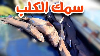 صيدنا سمكة الكلب ... و تحضير الشفنج رفقة الكوزيني