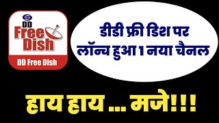 1 New Channel launched on DD Free Dish | डीडी फ्री डिश पर लॉन्च हुआ 1 नया चैनल