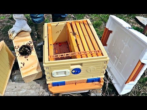 How to Install Bee Package? How to Install Bee Package?