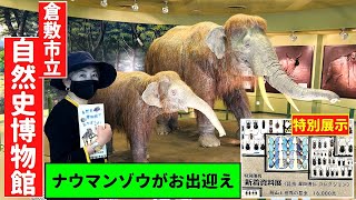 「倉敷市立自然史博物館」（岡山）ナウマンゾウがお出迎え Kurashiki Museum of Natural Histry Naumann Elephant OKAYAMA TANBE CH,