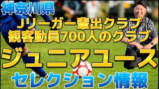 2024年度神奈川県ジュニアユースセレクション情報