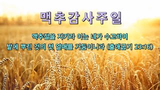 20220703 신성교회 주일 1부 ,  감사함을 넘치게 하라,  골로새서 2:6-7