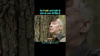 पेड़ में फसे शरीर के साथ वो अभी भी जिंदा है 😱|| movie explain in hindi #shorts #movieexplain
