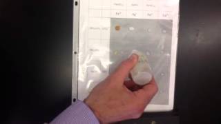 Witzgall Chemistry: Formulas of Ionic Compounds Lab
