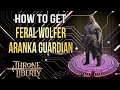 Throne and Liberty How to Get Feral Wolfer Aranka Guardian Transformation