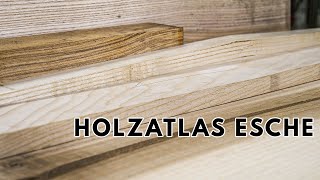 Kontrastreich und schön - Eschenholz im Porträt