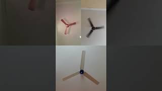 Ceiling #fan #viralvideo #ceilingfan #video #kipasangin #viralshorts #youtubeshorts #ytshorts #funny