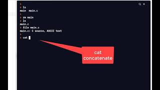 C Programming Skills Using Replit: CLI Intro