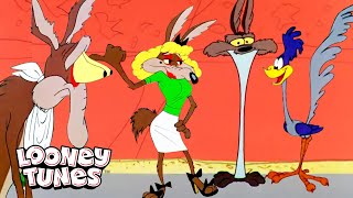 20 minut Wile'a E. Coyote'a w gorącym bałaganie | Looney Tunes | @GenWBInternational