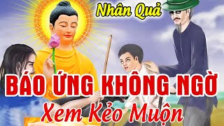 Luật Nhân Quả Chớ Xem Thường, BÁO ỨNG KHÔNG NGỜ - Làm Ác Gặp Ác.. Gieo Nhân Nào Ắt Gặt Quả Đó | Báo