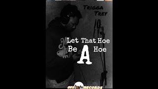 Trigga Trey - DirtyLilHoe(caught my girl cheating)