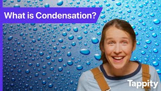 What is Condensation? | Science for Kids | Ask Tappity: Science Questions \u0026 Answers