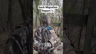 Duck Migration Report 2022