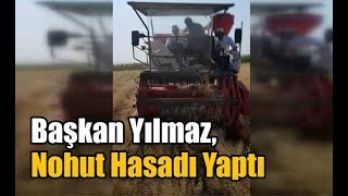 Başkan Yılmaz,Nohut Hasadı Yaptı