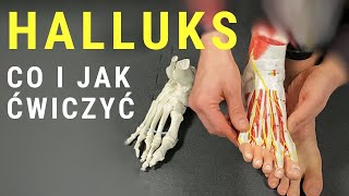 HALLUKS/HALUKS - jakie ćwiczenia na paluch koślawy? - dr n. med. Marcin Wytrążek