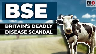 BSE: Britain’s Deadly Disease Scandal