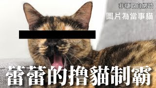 【6tan】撸貓制霸！挑戰者蕾蕾得幾分！？