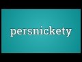 Persnickety Meaning