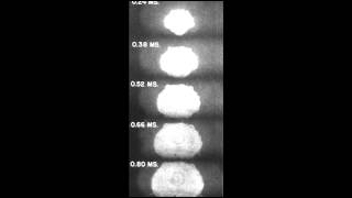 16th July 1945: USA tests the first ever nuclear bomb