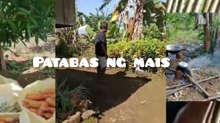 GBABE! ANG BILIS MATAPOS NG MGA MANGYAN  |MANGYAN NANAYVLOGS