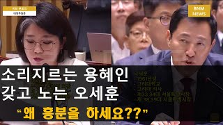 또 고성 지르는 용혜인, 오세훈 피식...\