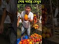 আমের ফলন সহ আশ্চর্যজনক আম বাগানের ল্যান্ডস্কেপ fruitgarden reels video china mango foryou