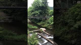 埼玉県　土木遺産　滝の鼻橋　大正１４年建設