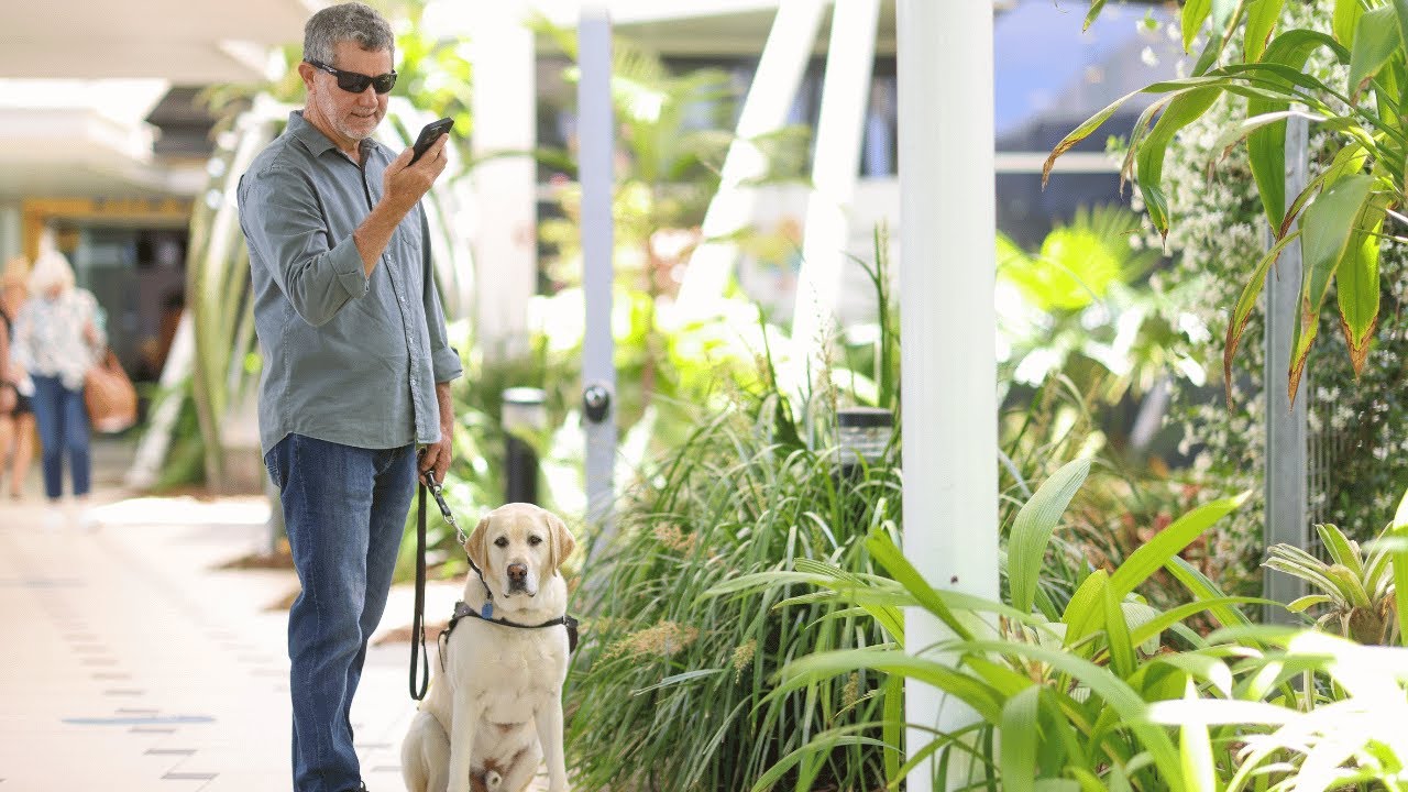 Bindimaps Digital Accessible Wayfinding Youtube