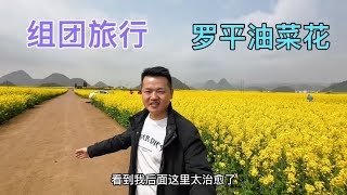 組團旅行羅平油菜花，萬畝花海太治癒了，全是花香味，不虛此行【雲南阿海】