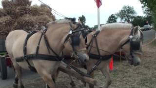 Mølledag 2016. Vindeby - Lolland.