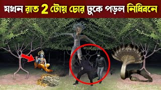 যখন রাত 2 টোর সময় একটি চোর লুকিয়ে ঢুকে পড়লো নিধিবনে! - তারপর যা হল শুনে কেঁদে ফেলবেন Nidhivan Night